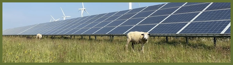 New WeSET Film: Solar power, farming and biodiversity